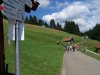 Wandern im Allgäu